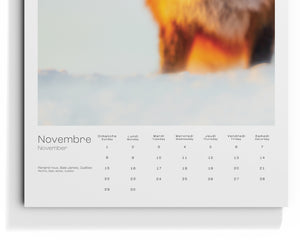 Calendar 2026 - limited edition