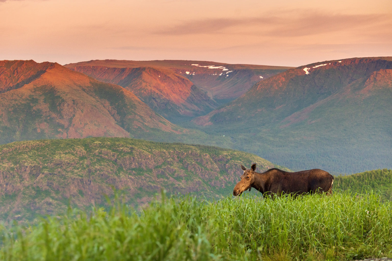 Au sommet, devant Albert (2)