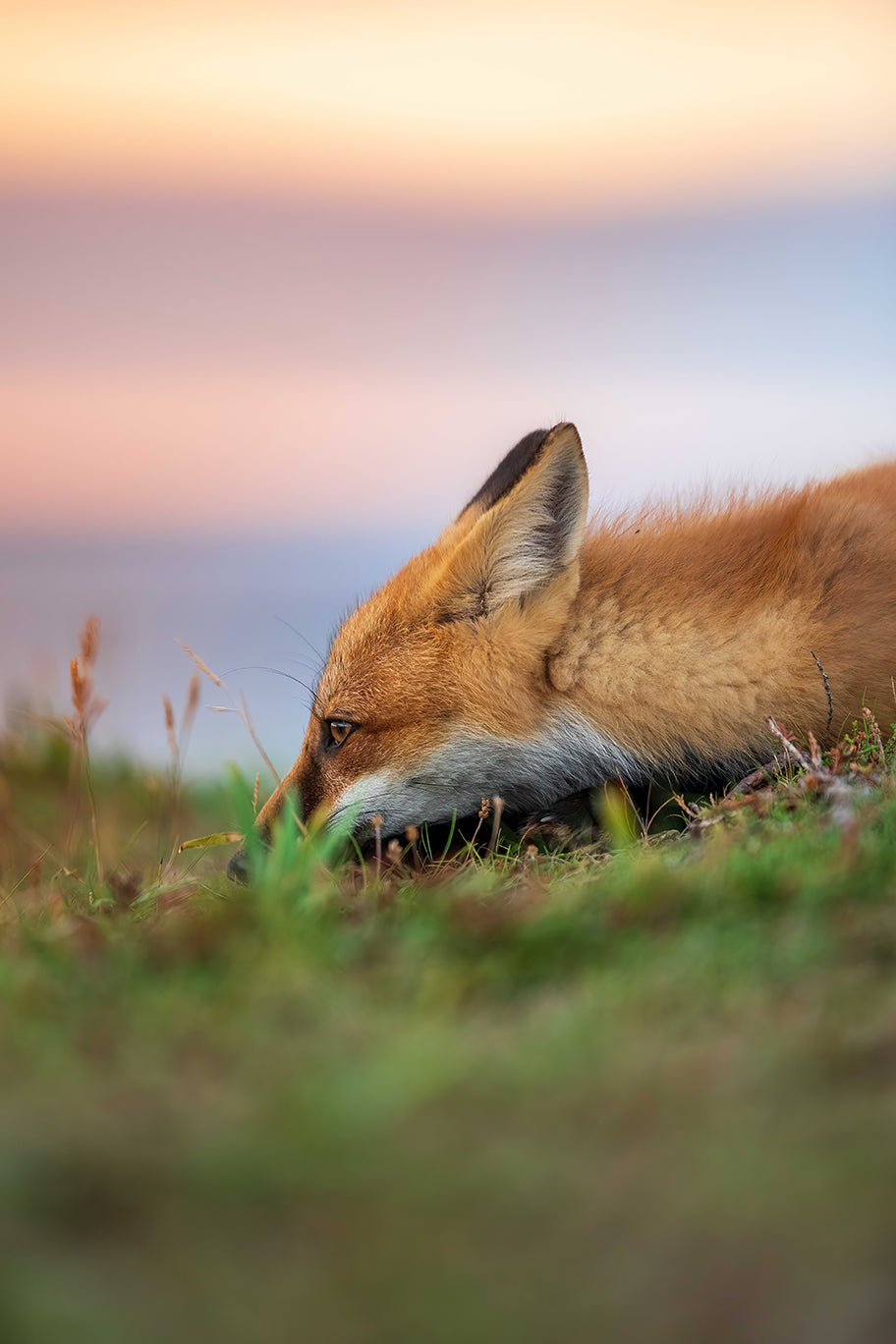 Thoughtful