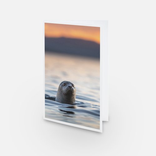 Périscope - Carte de souhaits