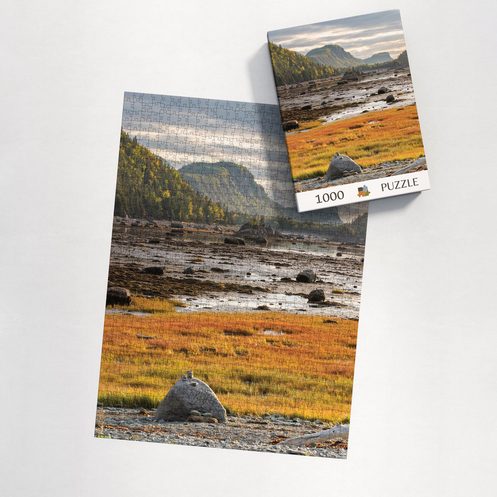 Puzzle - Pointe aux Épinettes