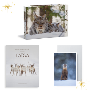 Customizable gift set - Relaxation (Book + puzzle + card)