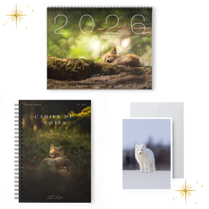 Ensemble-cadeau personnalisable - Bureau (cahier de notes + calendrier + carte)