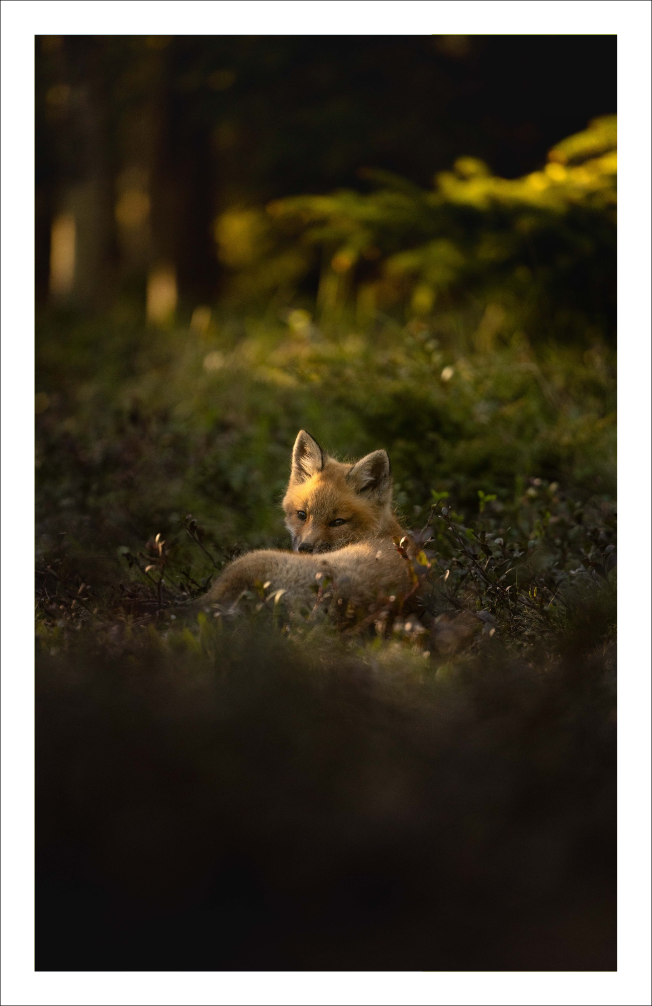 Rayon de lumière - Carte de souhaits