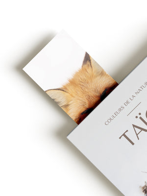 Signet - Renard roux