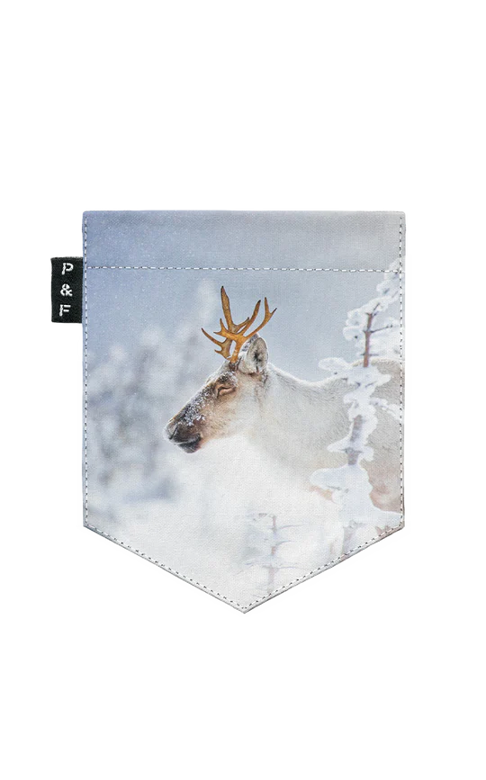 T-Shirt col en V semi-ajusté - Roi de la montagne