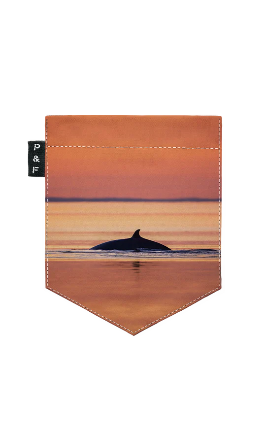 T-Shirt à manches longues (unisexe)  - Rorqualternatif