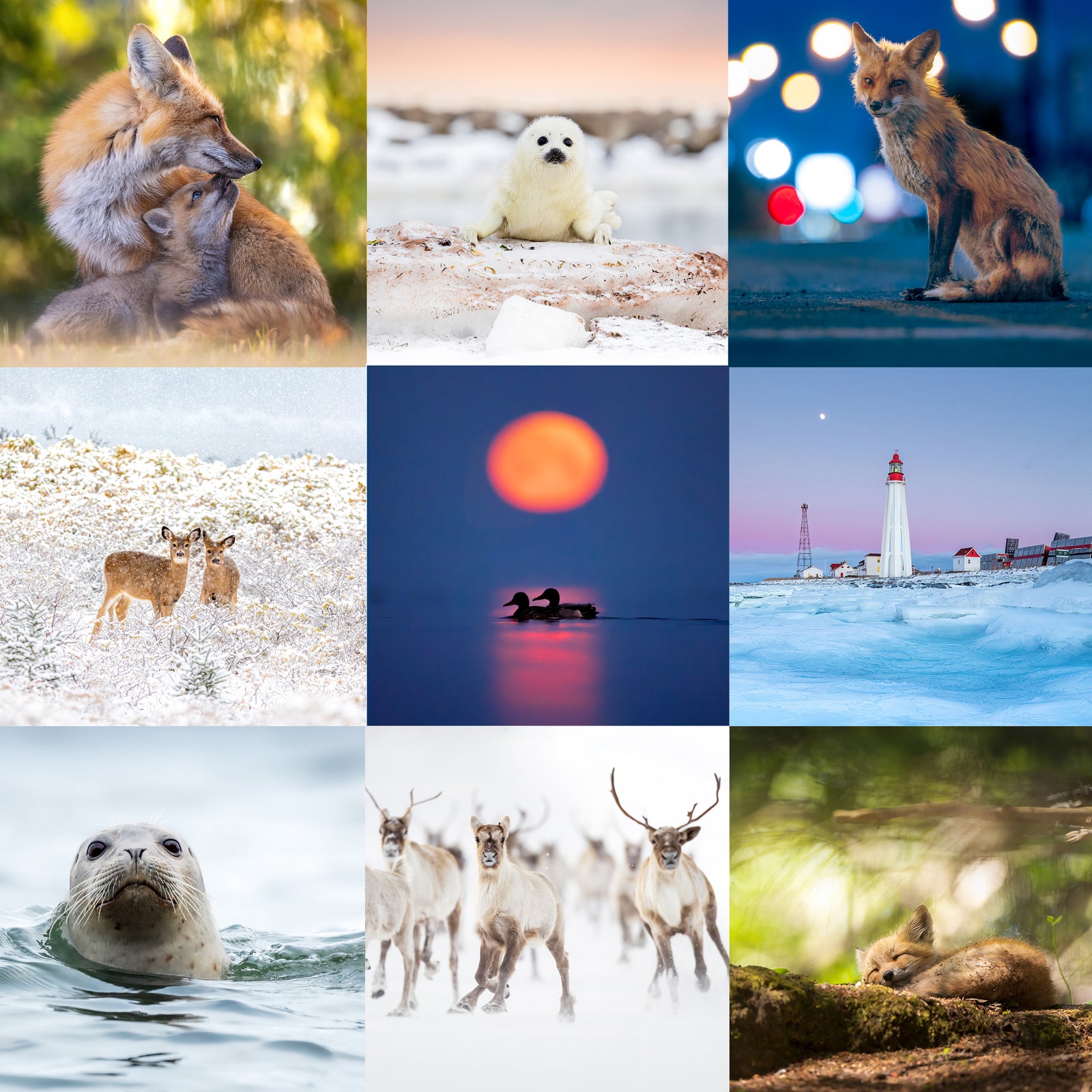 Set of greeting cards (15) - Mixed