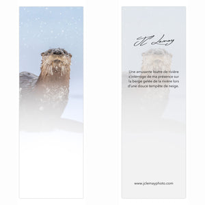 Signet - Loutre de rivière