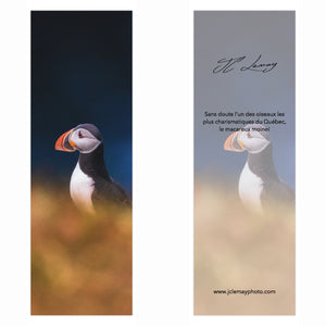 Signet - Macareux moine