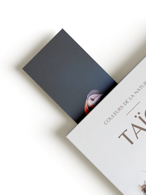 Signet - Macareux moine