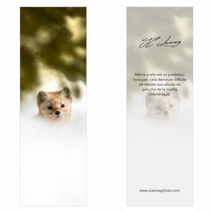 Signet - Marte d'Amérique 1