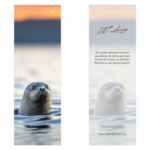 Ensemble de signets mixte (10)