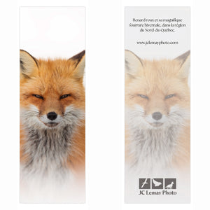 Signet - Renard roux