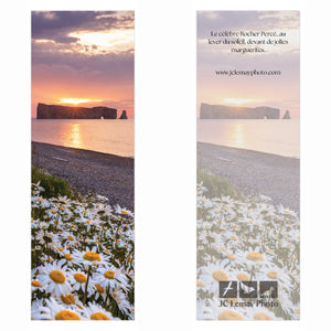 Signet - Rocher Percé X Marguerites