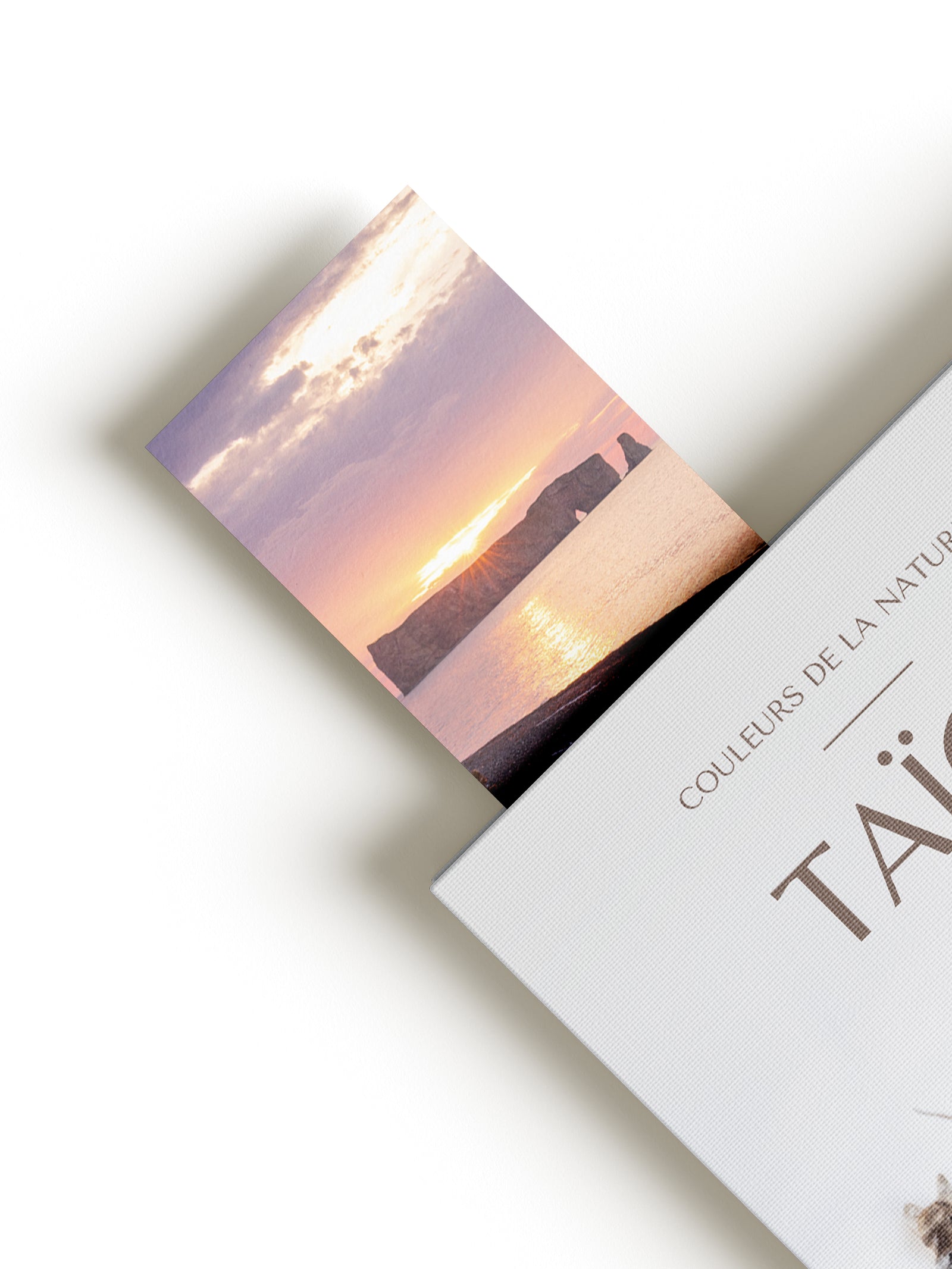 Signet - Rocher Percé X Marguerites