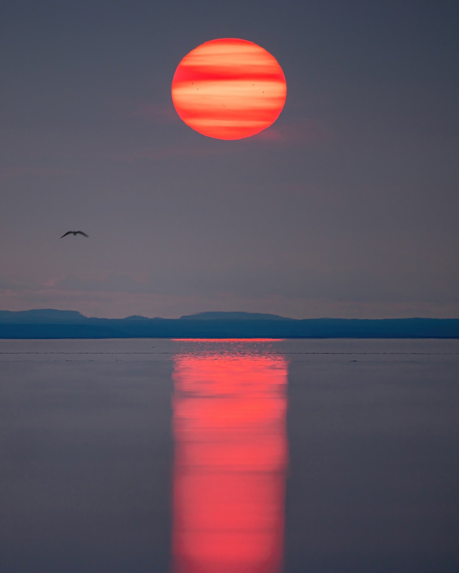 Smoky Sun