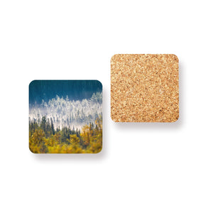 Coasters (set of 4) - Landscapes