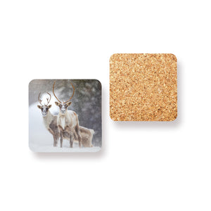 Coasters (set of 4) - Taïga