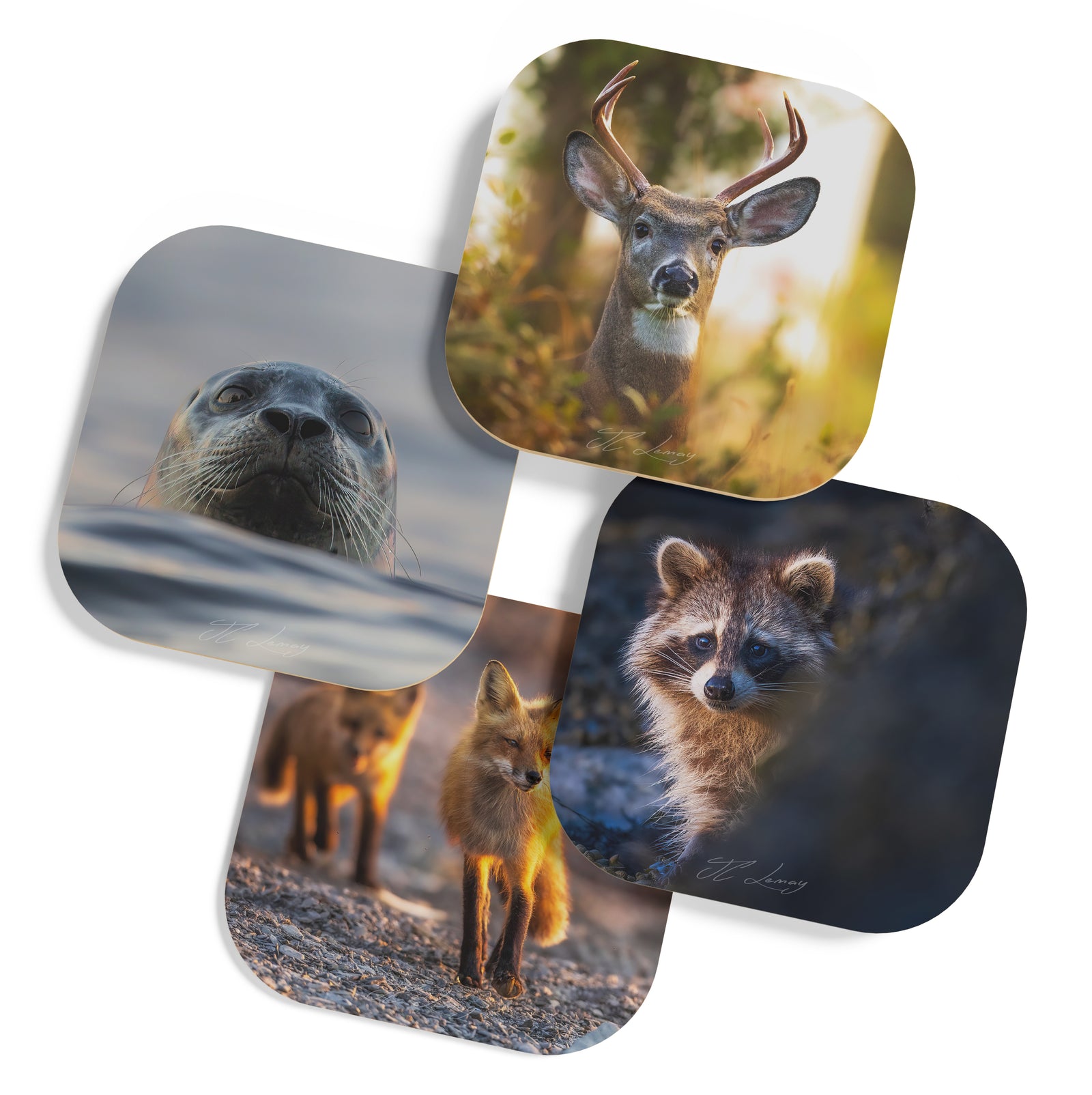 Coasters (set of 4) - Furry friends of Le Bic