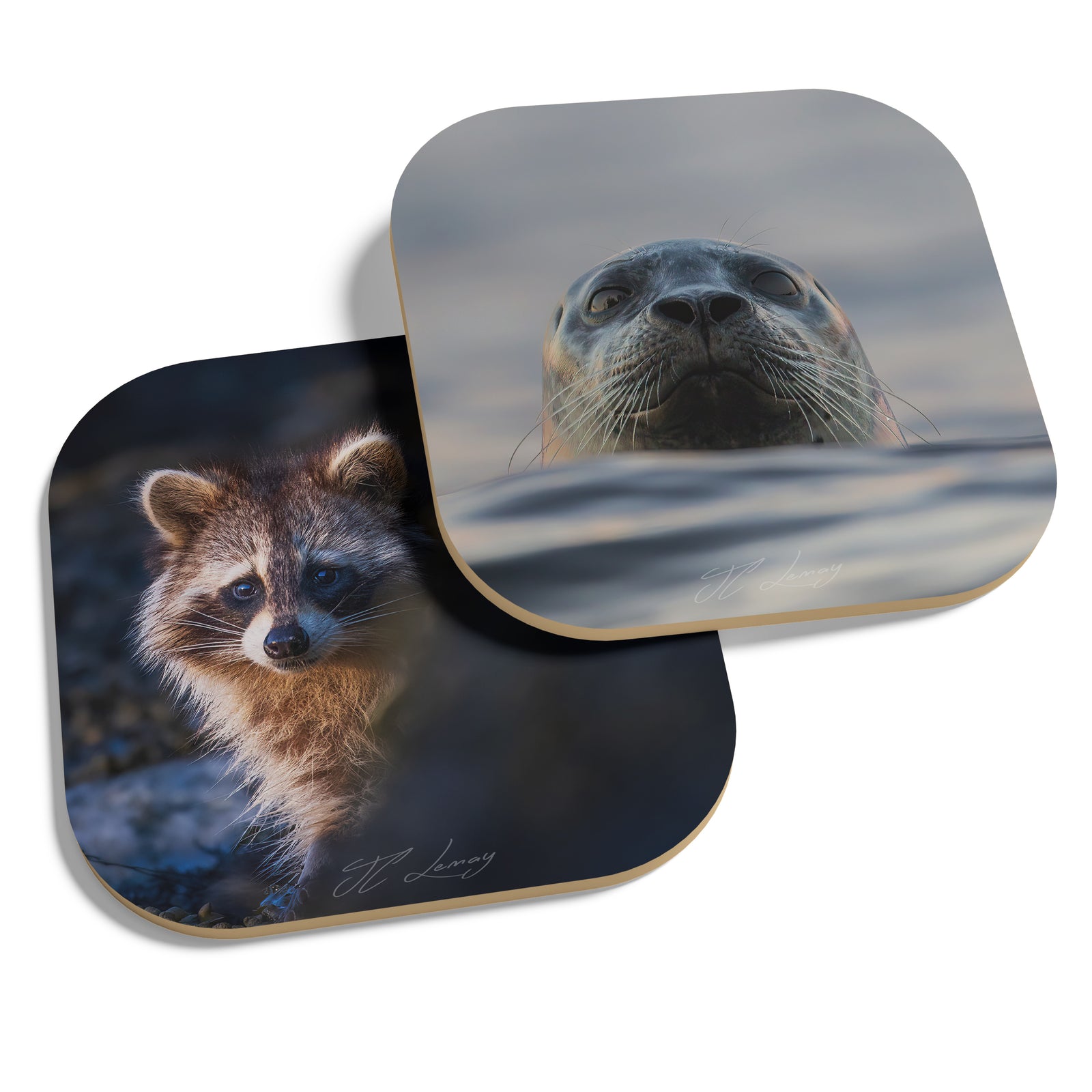 Coasters (set of 4) - Furry friends of Le Bic