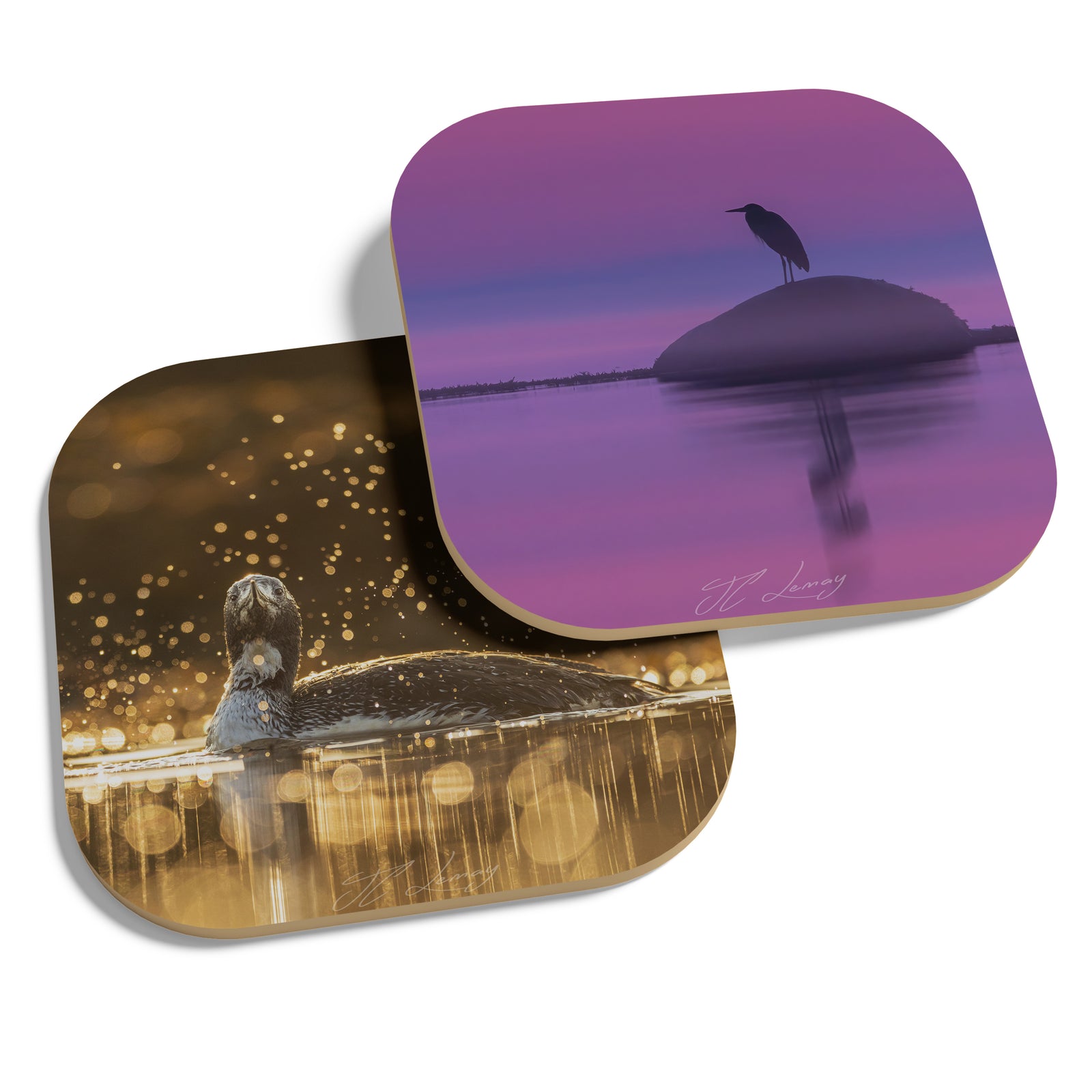 Coasters (set of 4) - Seabirds