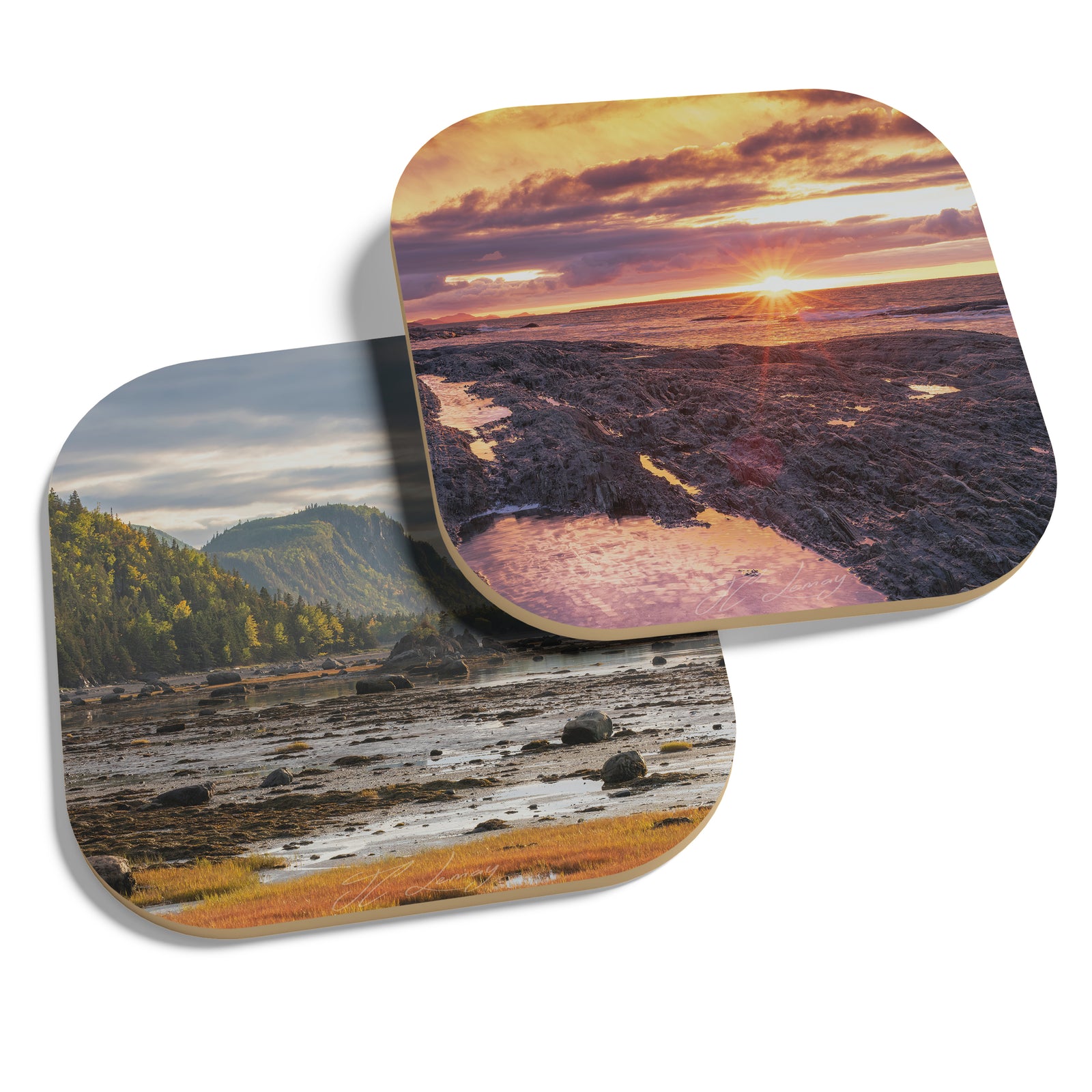 Coasters (set of 4) - Landscapes