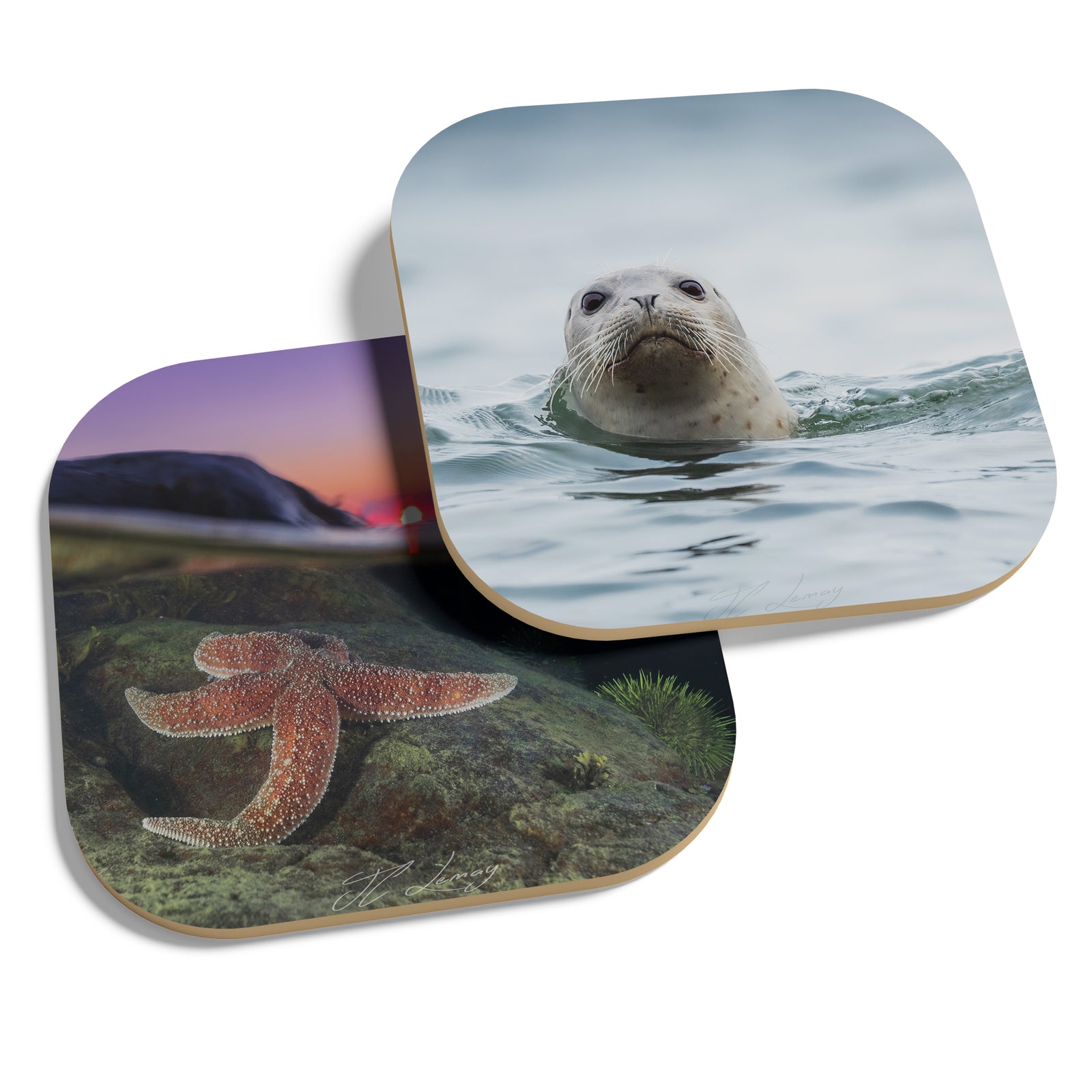 Coasters (set of 4) - Saint-Laurent