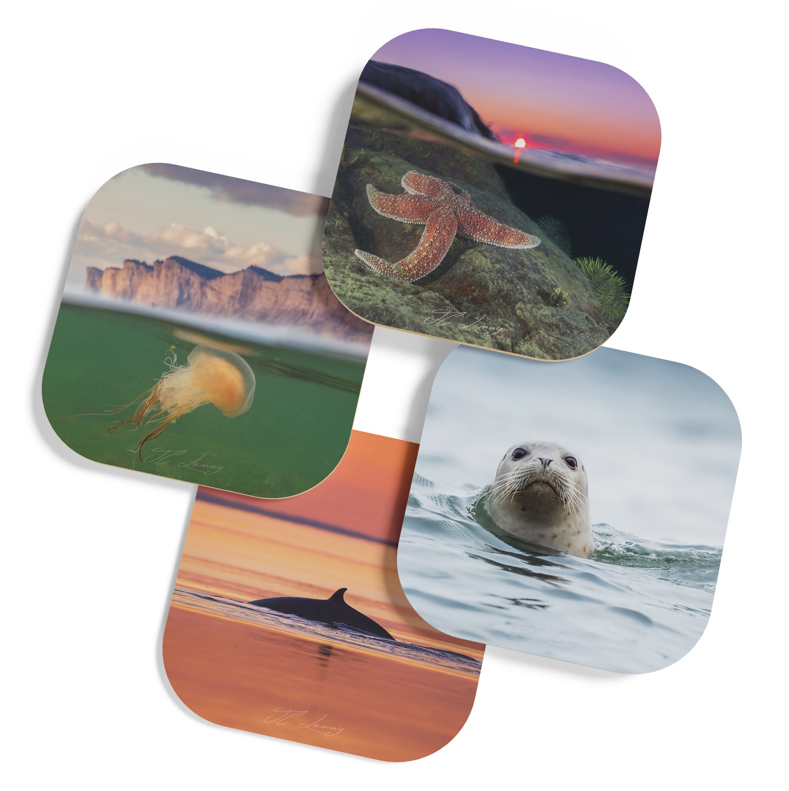 Coasters (set of 4) - Saint-Laurent