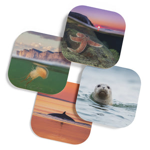 Coasters (set of 4) - Saint-Laurent