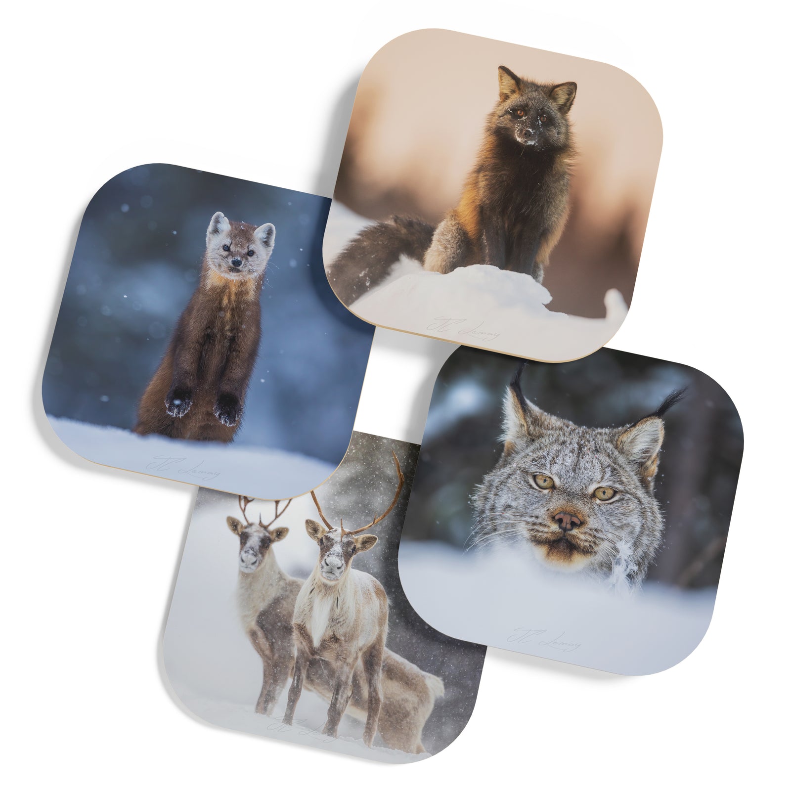 Coasters (set of 4) - Taïga