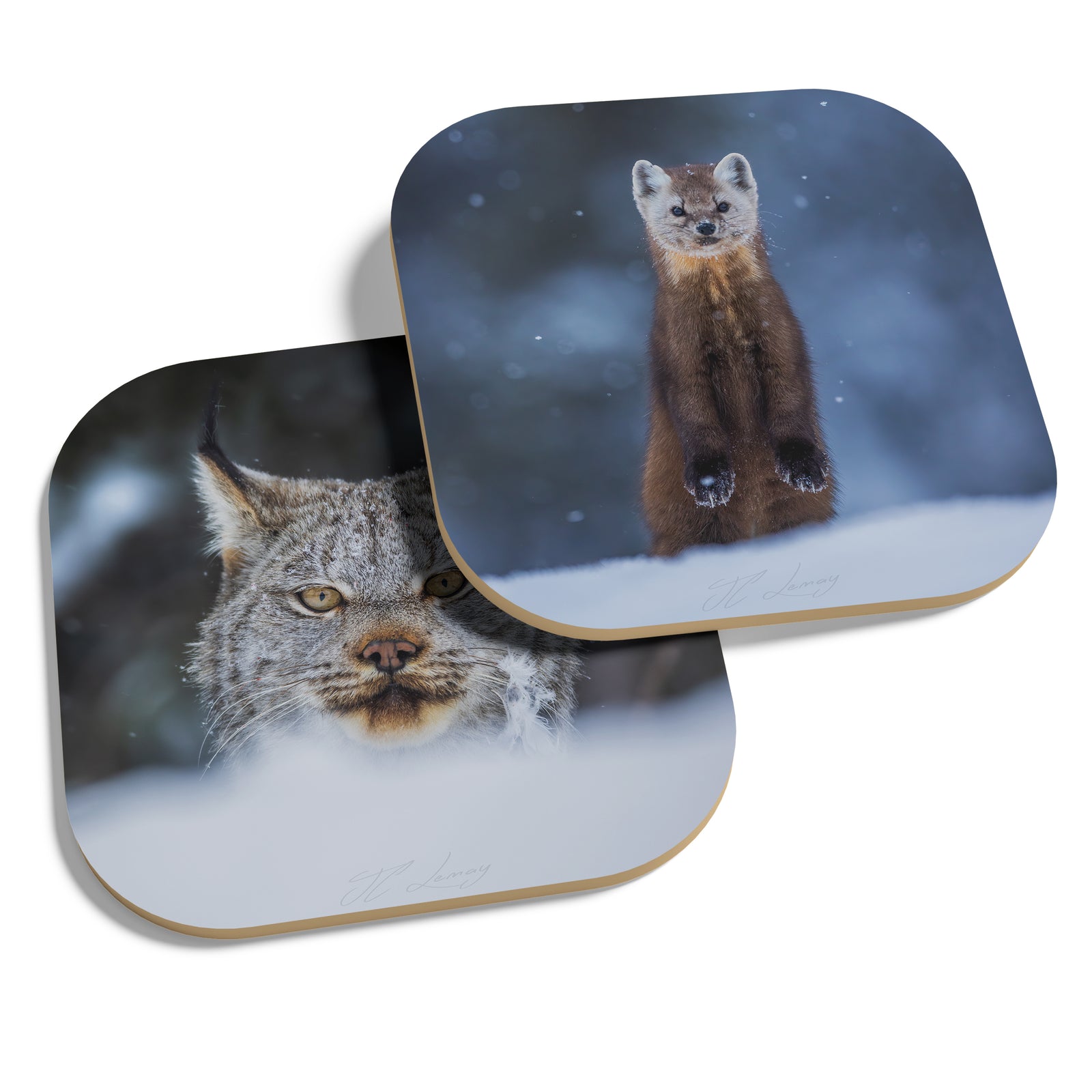 Coasters (set of 4) - Taïga