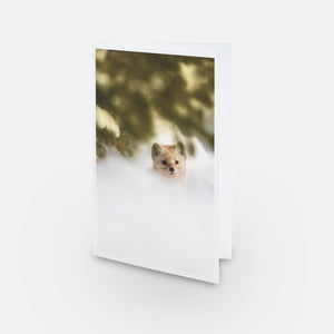 Under the branches - Greeting Card