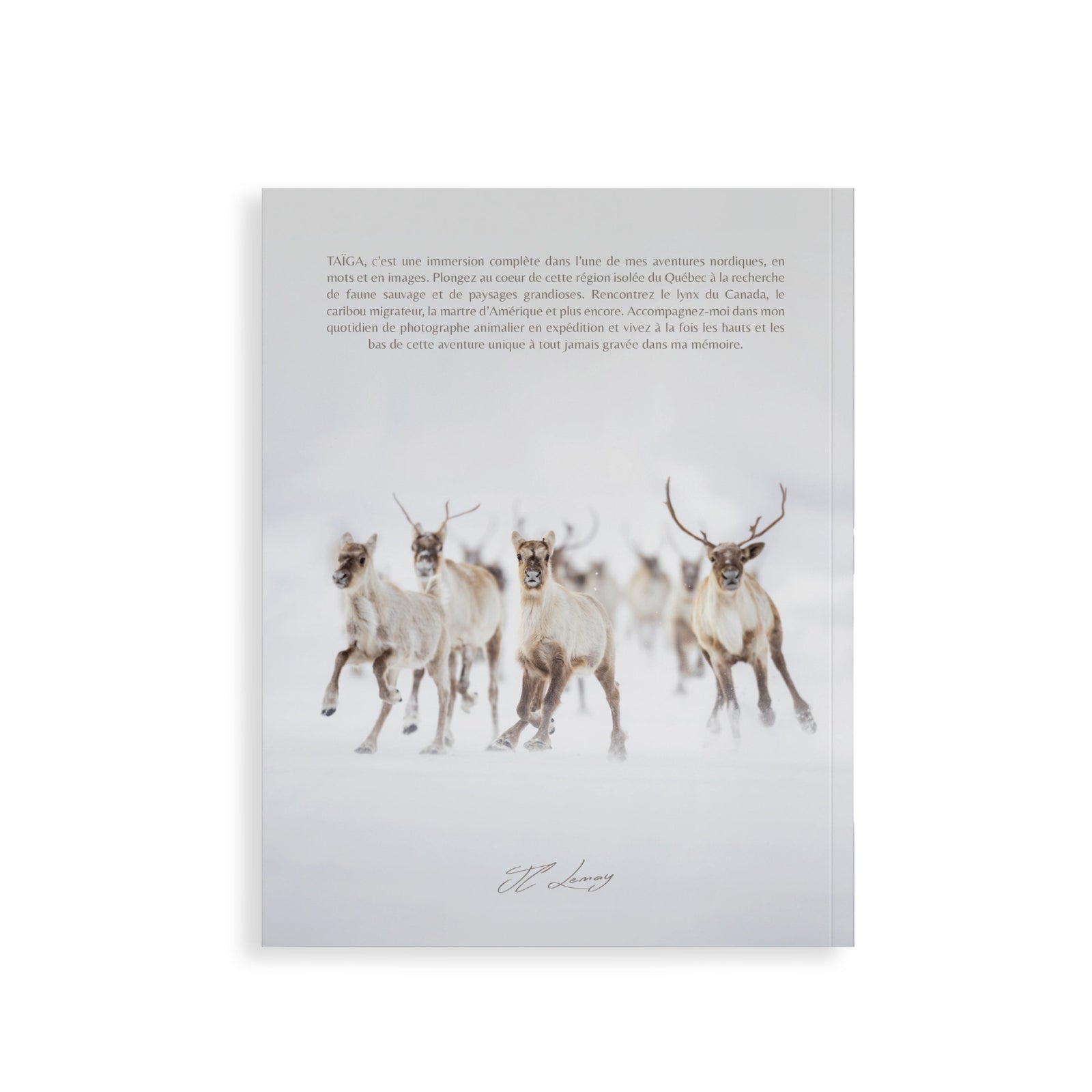 Livre - Couleurs de la nature - TAÏGA