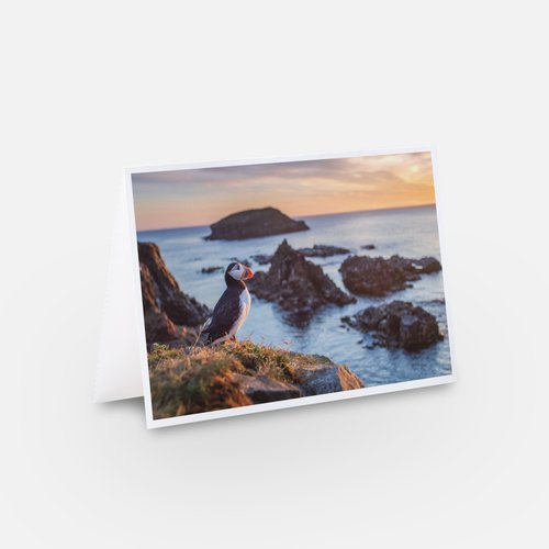 The view - Carte de souhaits