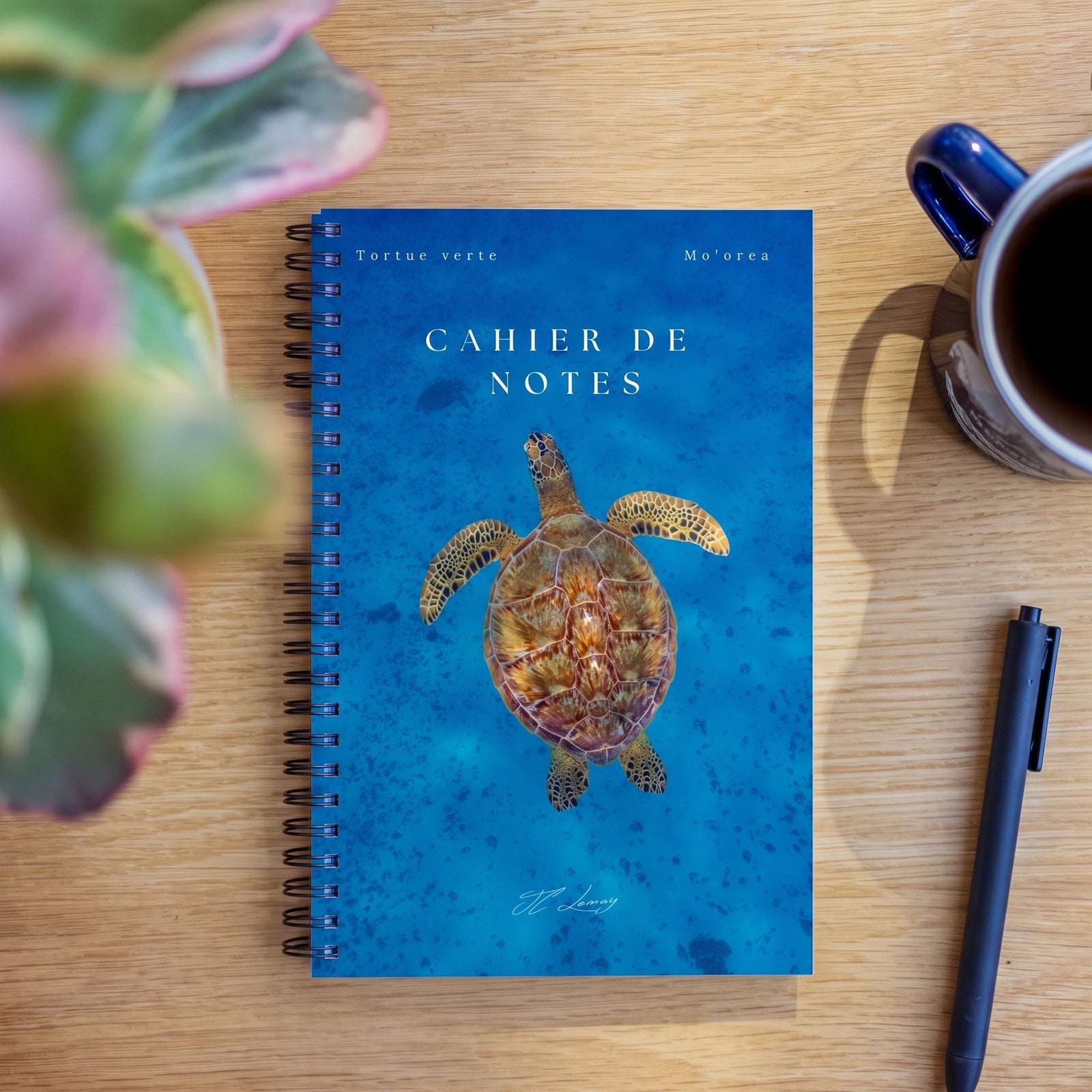 Cahier de notes - Tortue verte