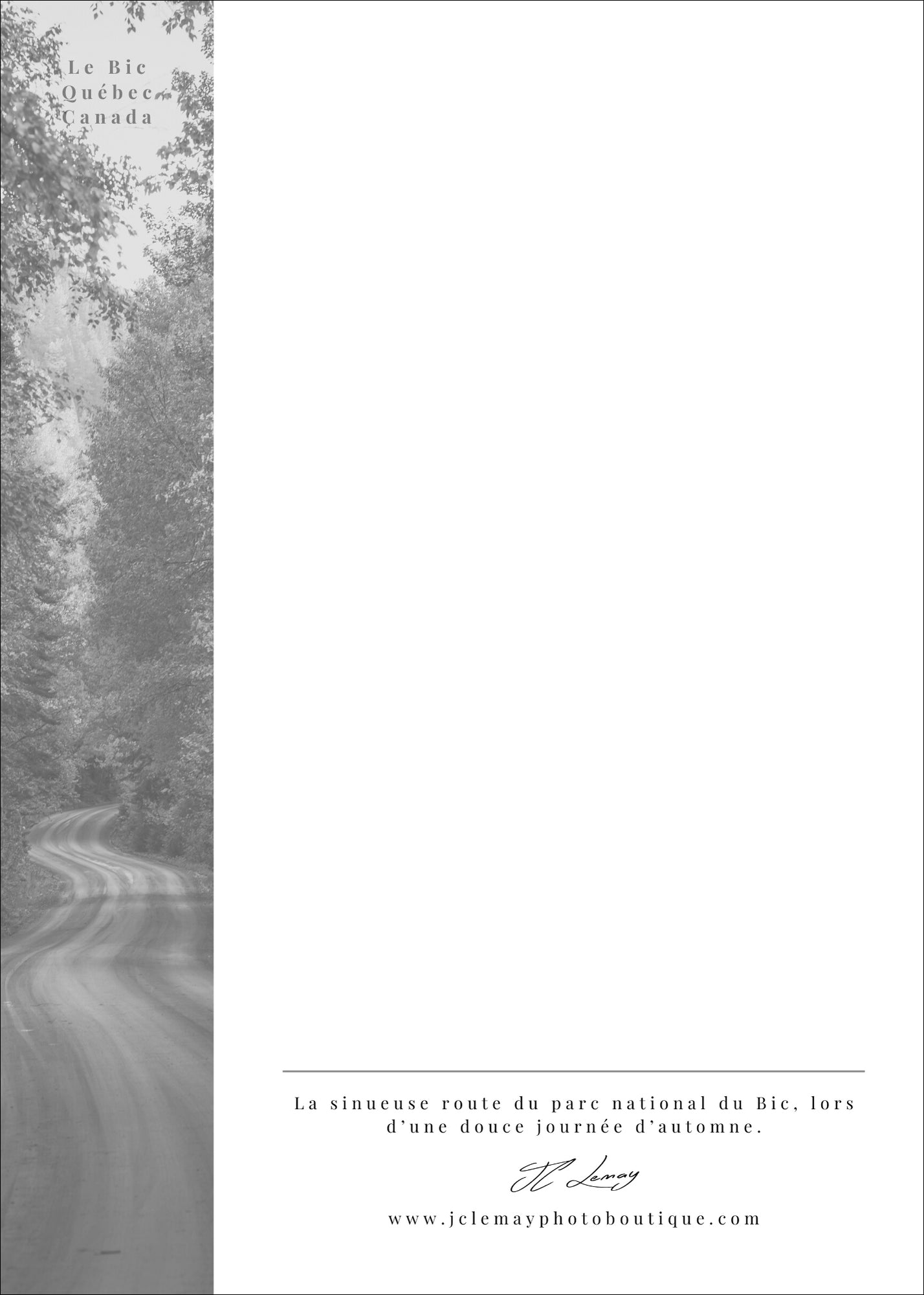 Roadway to Fall - carte postale