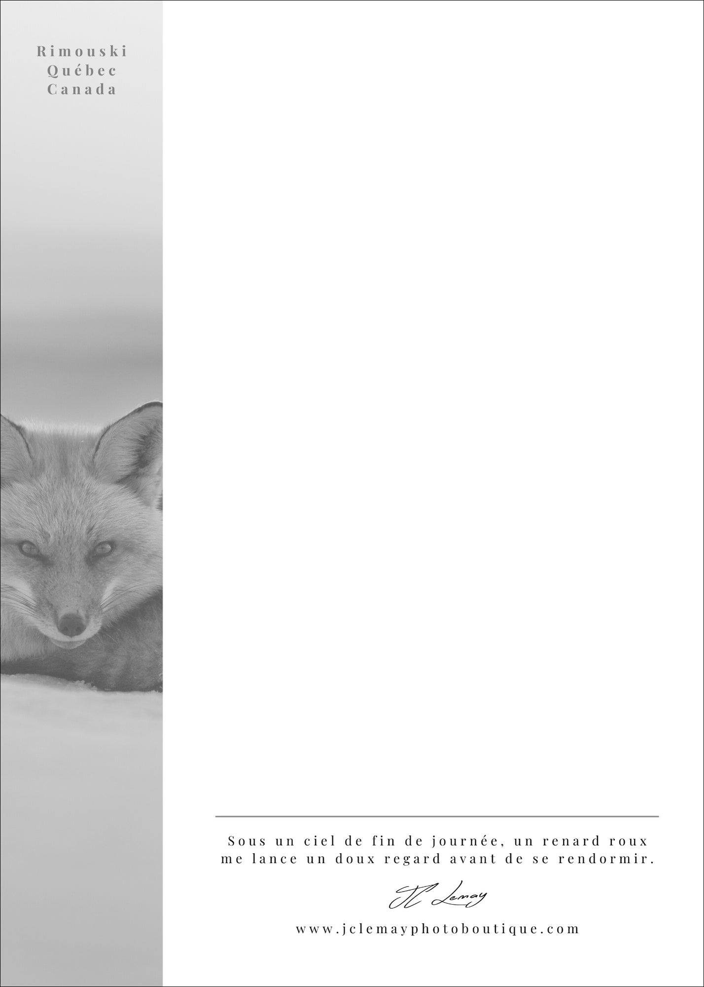 Le repos du renard - carte postale