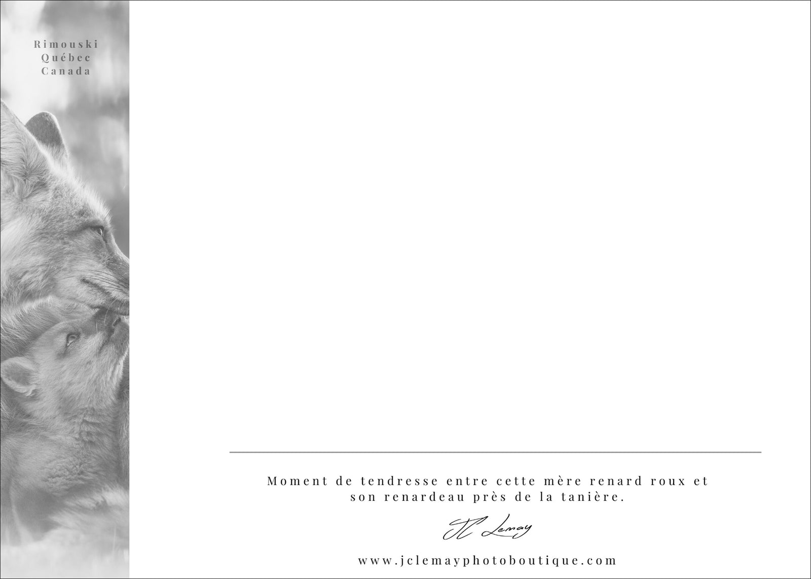 Le retour du printemps - carte postale