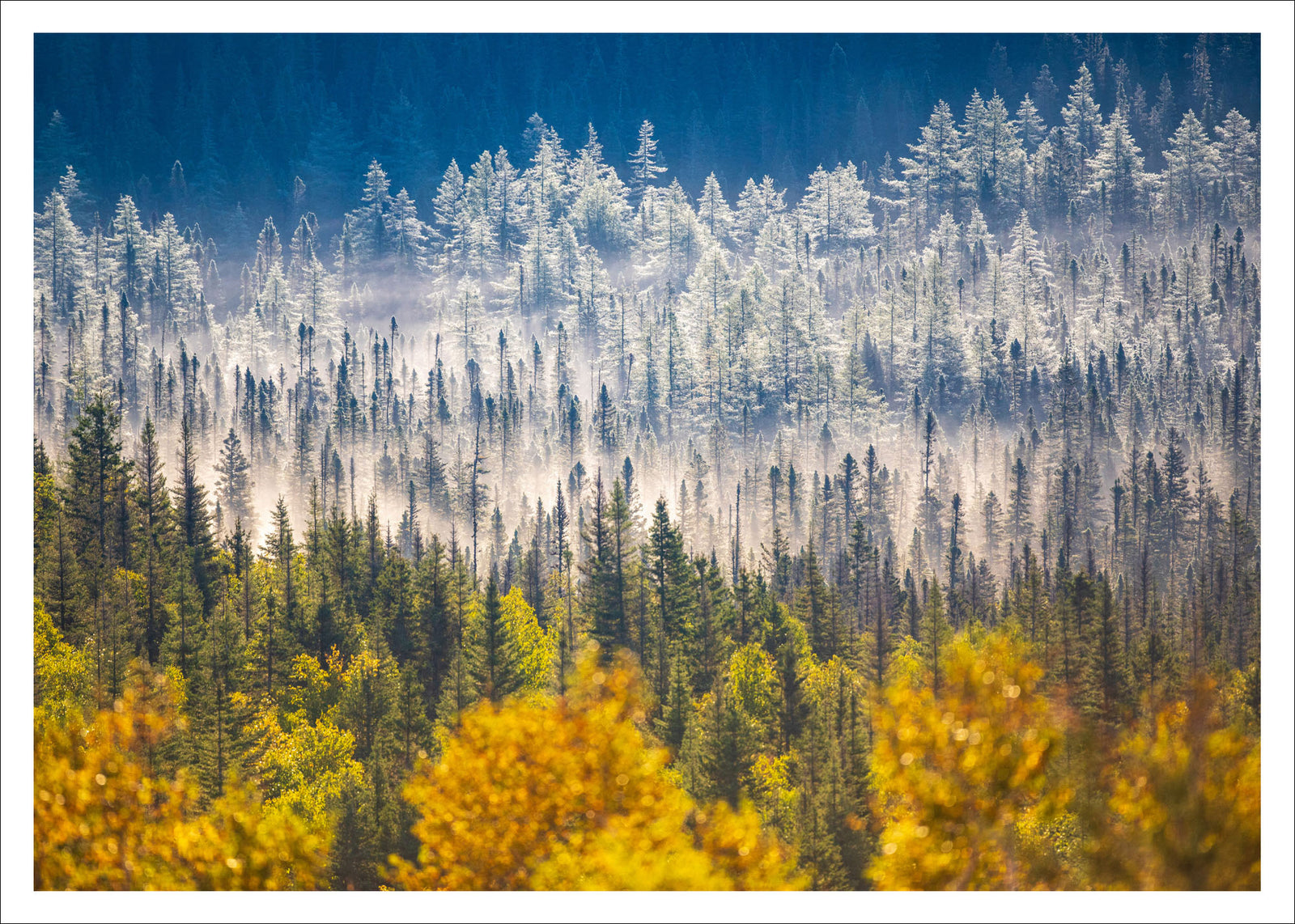 Saisons - carte postale