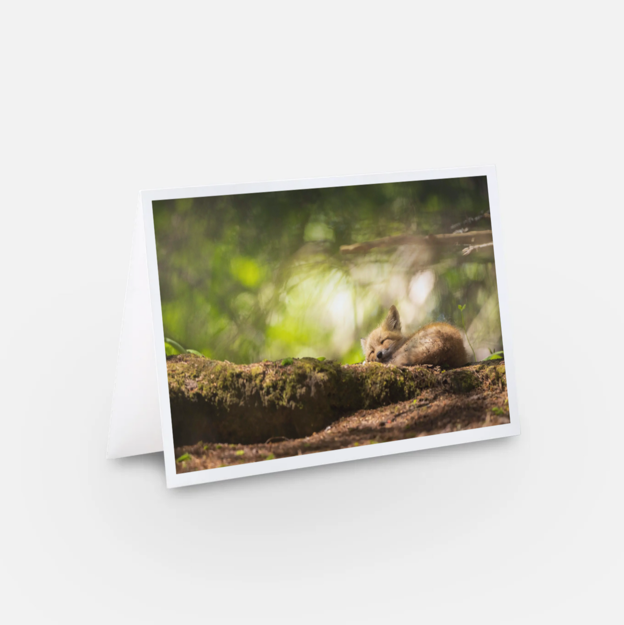 Magical forest - Greeting card