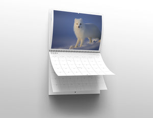 Calendar gift set (5)