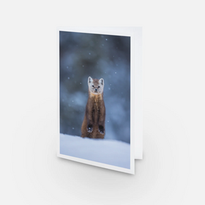 Pine marten under the snow - Greeting card