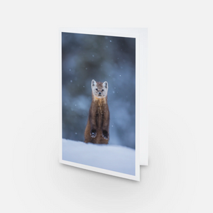 Set of greeting cards (5) - Winter