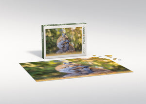 Casse-tête - Le retour du printemps