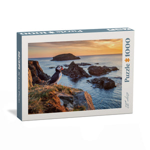 Casse-tête - Macareux