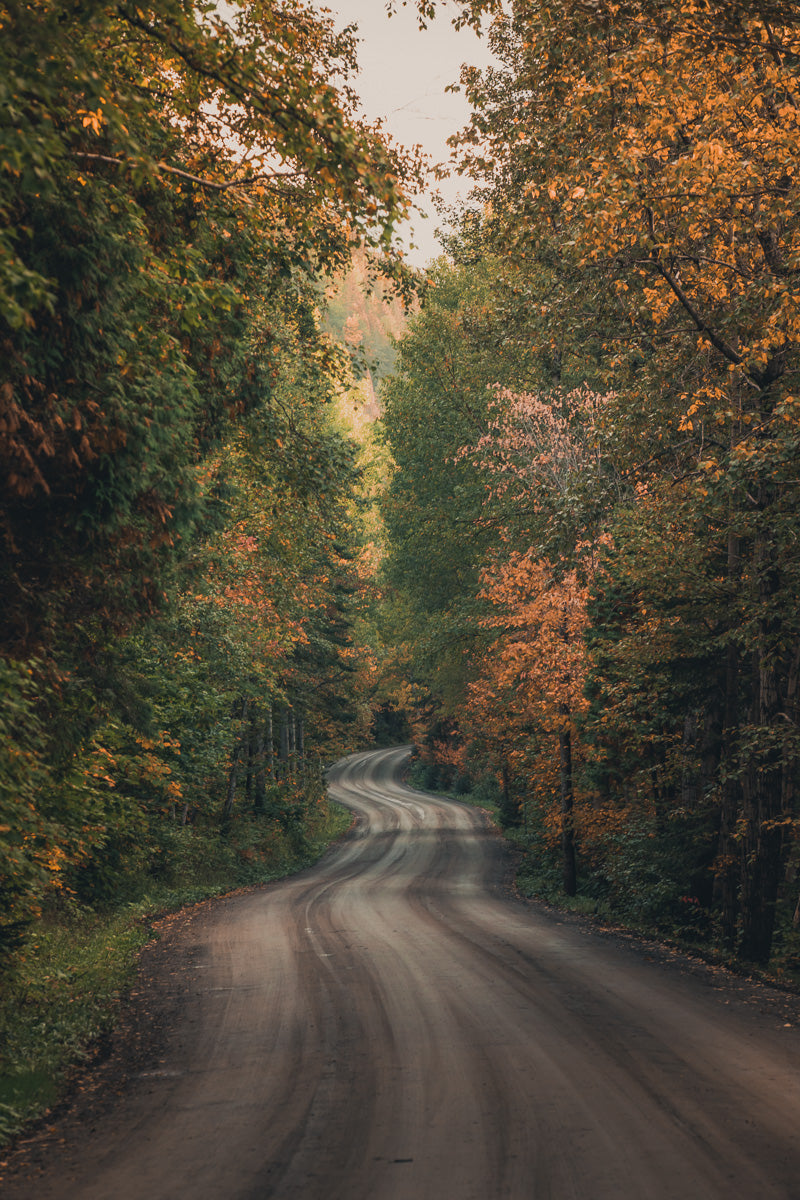 Roadway to Fall