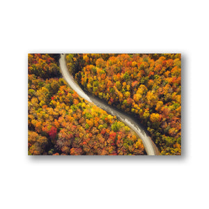 Fall road