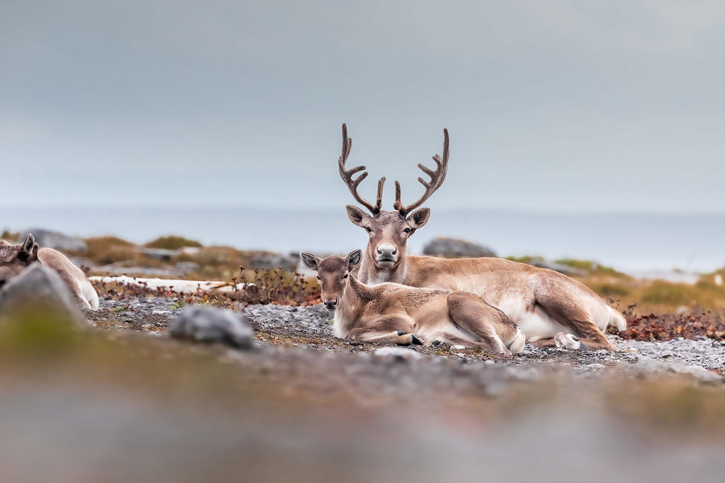 Resting on the beach