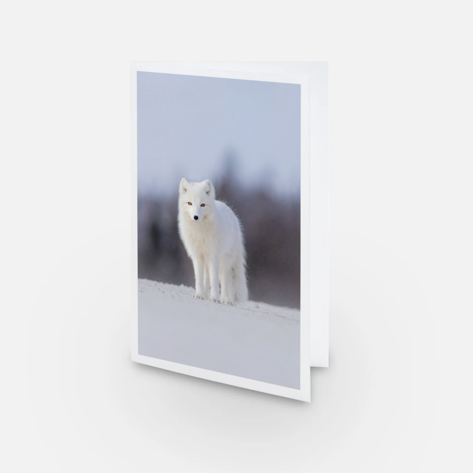 Moonset ducks - Greeting card